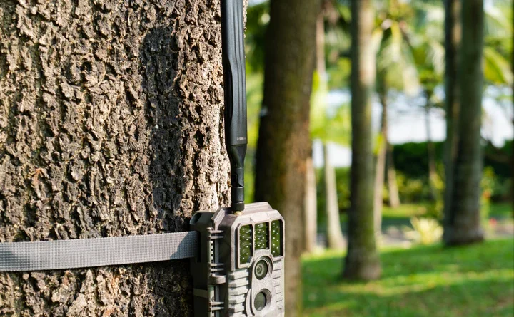 Tips for Finding the Best Trail Camera