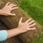 Upgrade Your Property With Synthetic Grass Peoria AZ